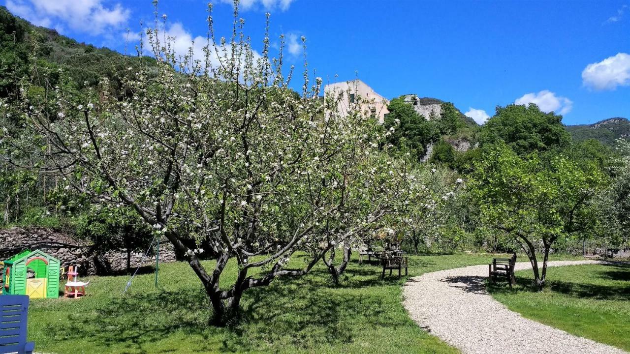 Casa Papaveri Rossi Finale Ligure Dış mekan fotoğraf